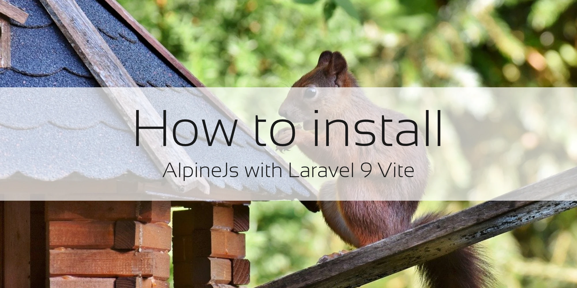 How to install AlpineJs with Laravel 9 Vite